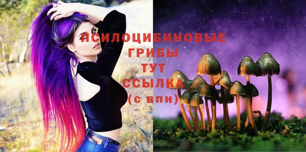 скорость Мостовской
