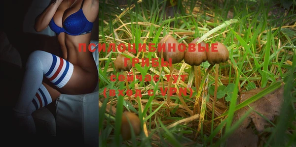 таблы Бронницы