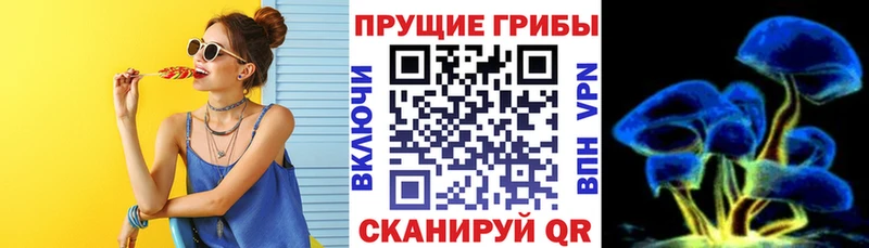 Галлюциногенные грибы GOLDEN TEACHER  KRAKEN как войти  shop как зайти  Волгореченск 